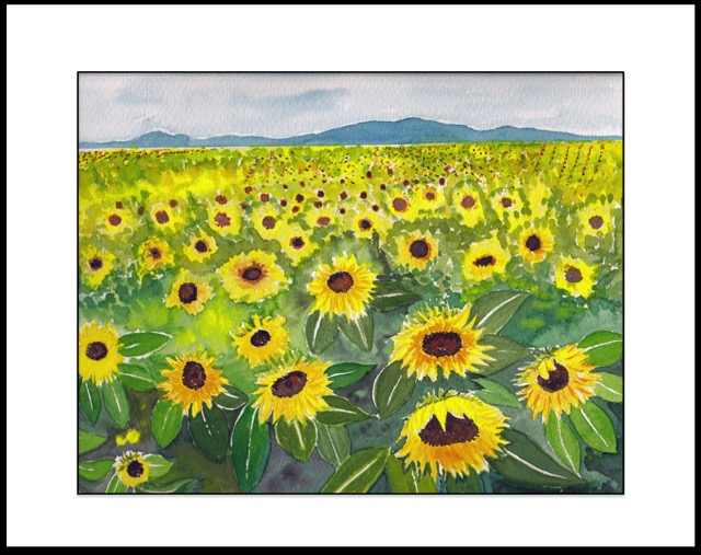 Sunflowers