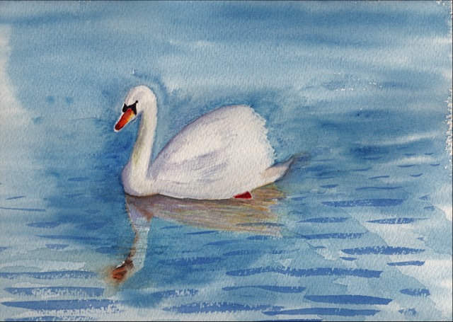 Swan