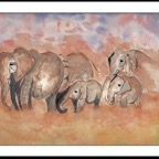 Elephants