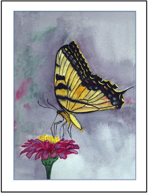 Swallowtail butterfly