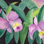 Spring Orchid (Nazy Painting).jpg