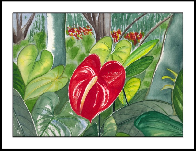 Anthurium