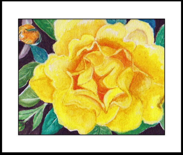 Yellow Rose of Santa Barbara