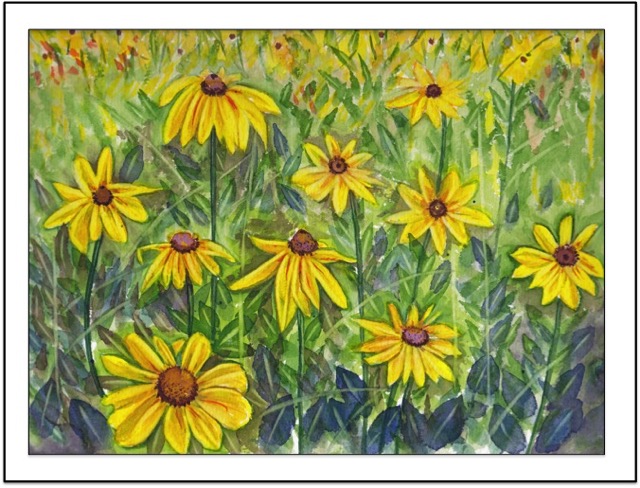 Black-eyed Susan