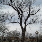 the plaza in Santa Fe